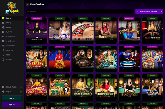 screenshot of BetHog – provider list and Slots and Live Casino sections